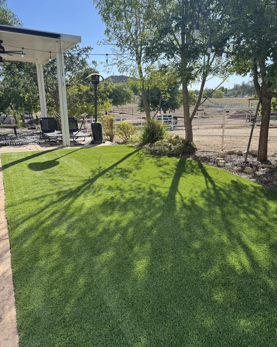 The same turf after cleaning