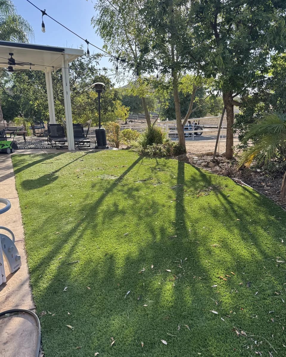 Turf before cleaning