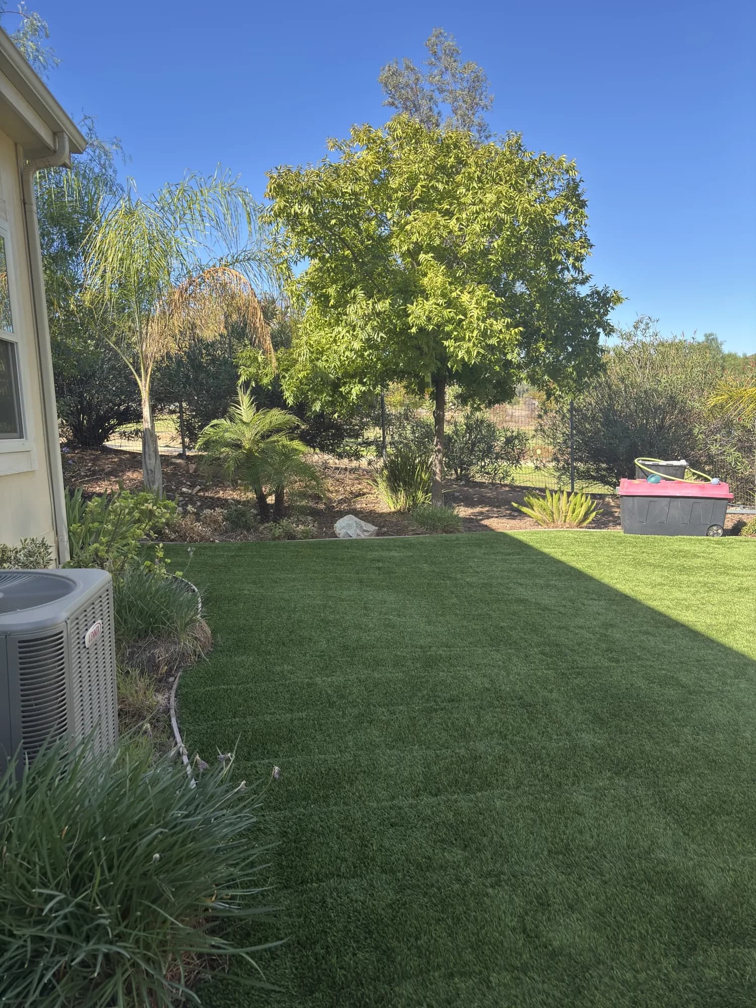 Cleaned side-yard turf next to a house, with a leafy tree and shrubs behind