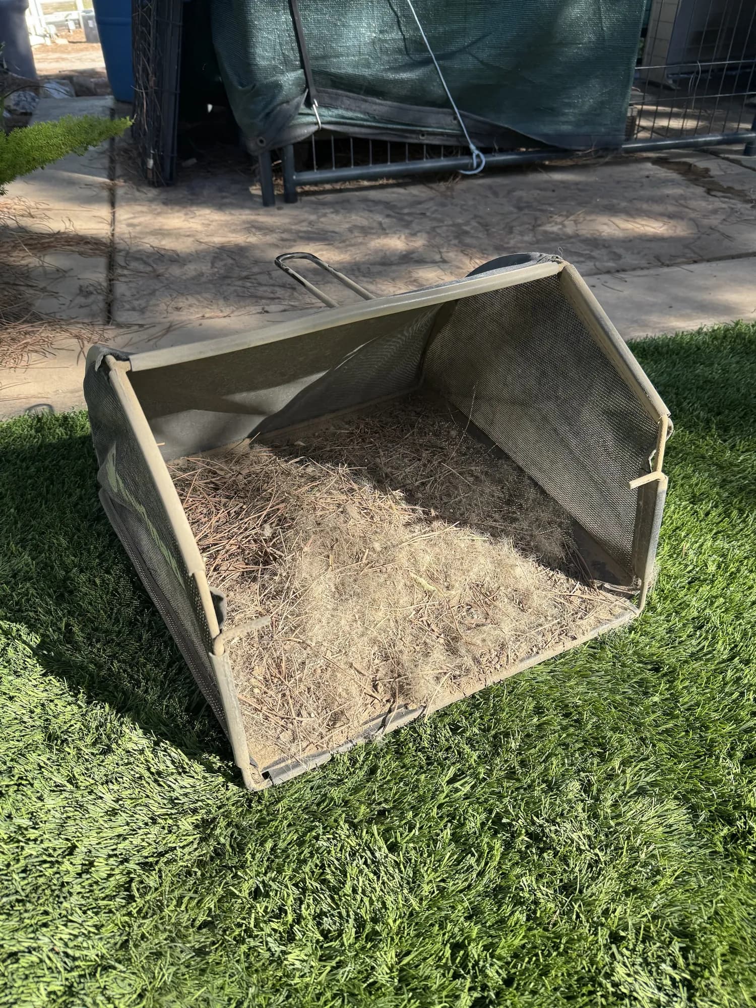 Second collector bin of pine needles, dust and pet hair from the same kind of cleaning
